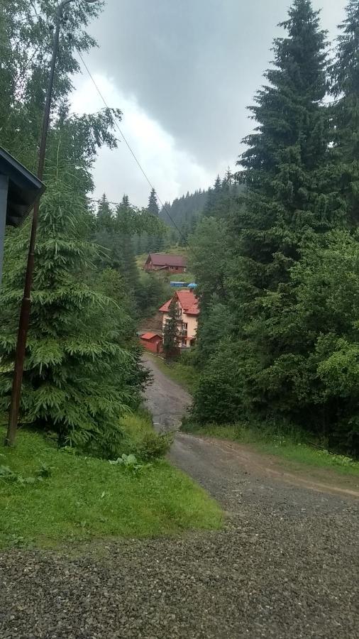 Садиба Срібні Карпати 亚布卢尼齐亚 外观 照片
